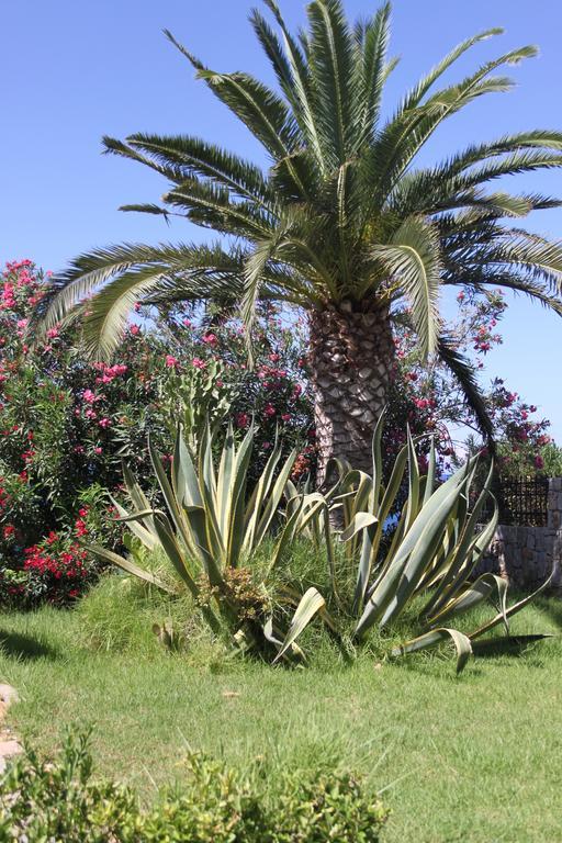 Villa Irini Almirida Esterno foto