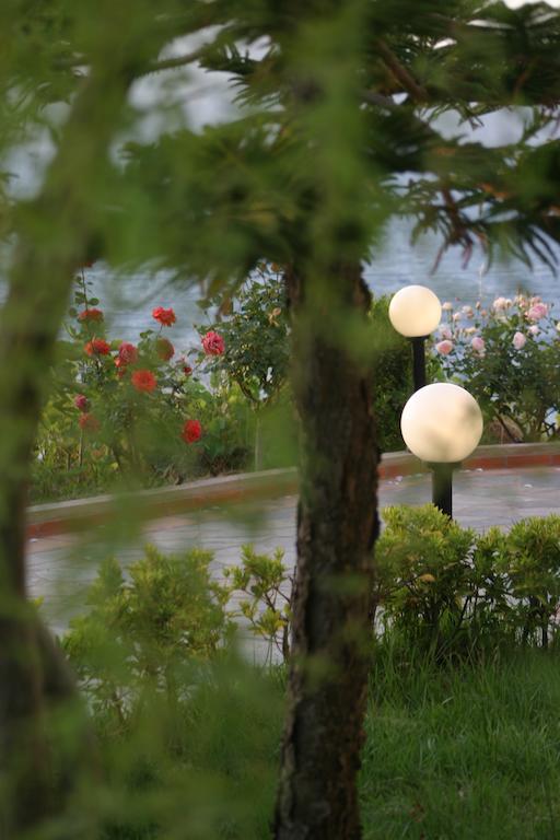 Villa Irini Almirida Esterno foto